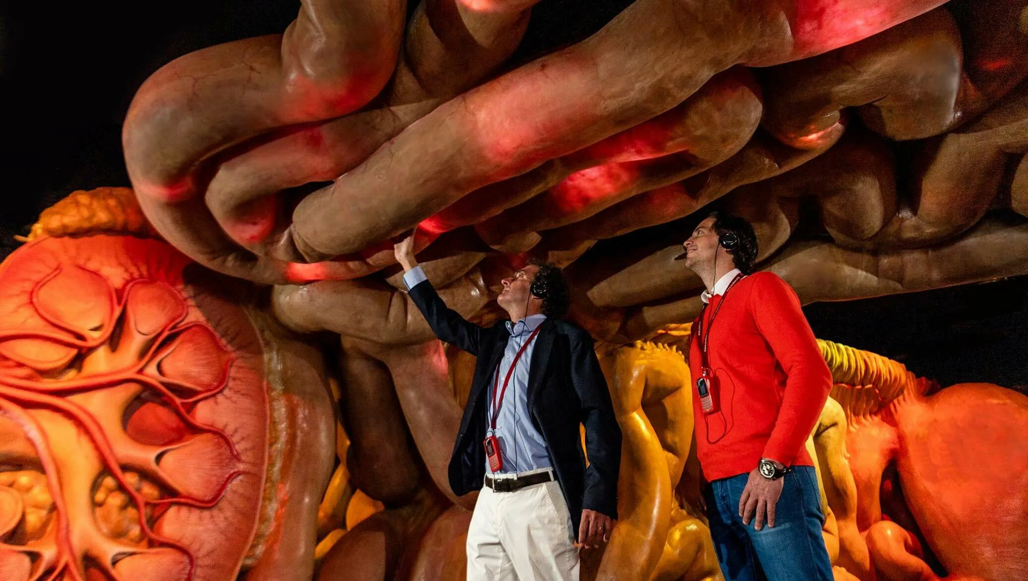 Музей человеческого тела Corpus (Угстгест, Нидерланды)