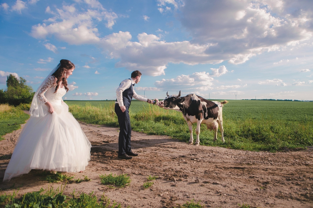 Норвежская свадьба