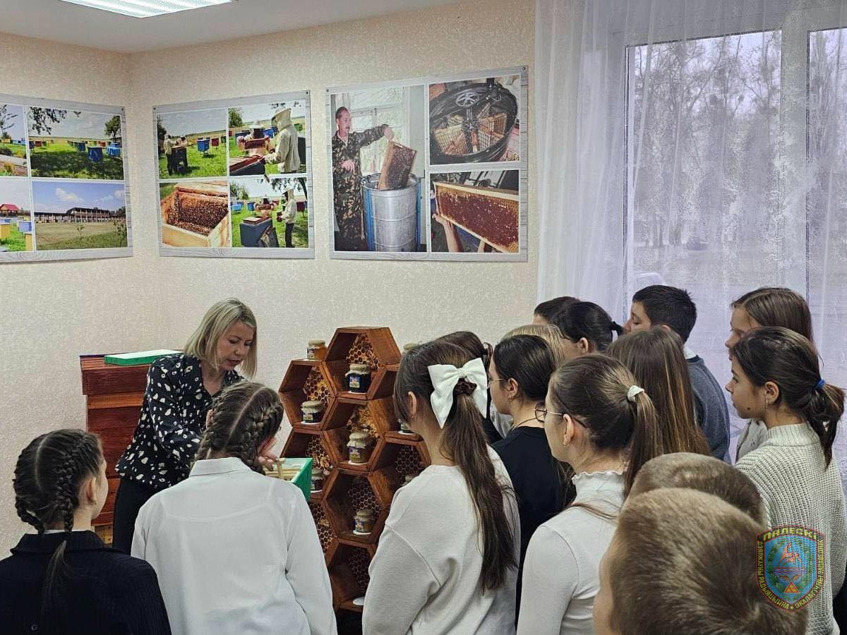 Обучение пчеловодству