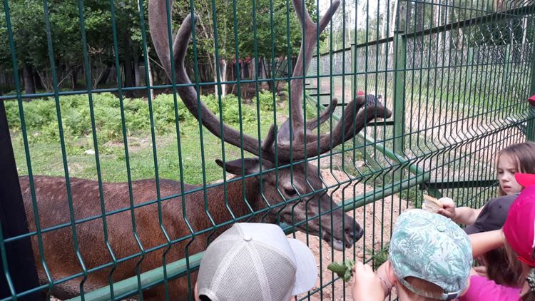 Детский центр «Жемчужина»