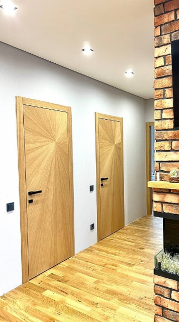 шпонированные двери