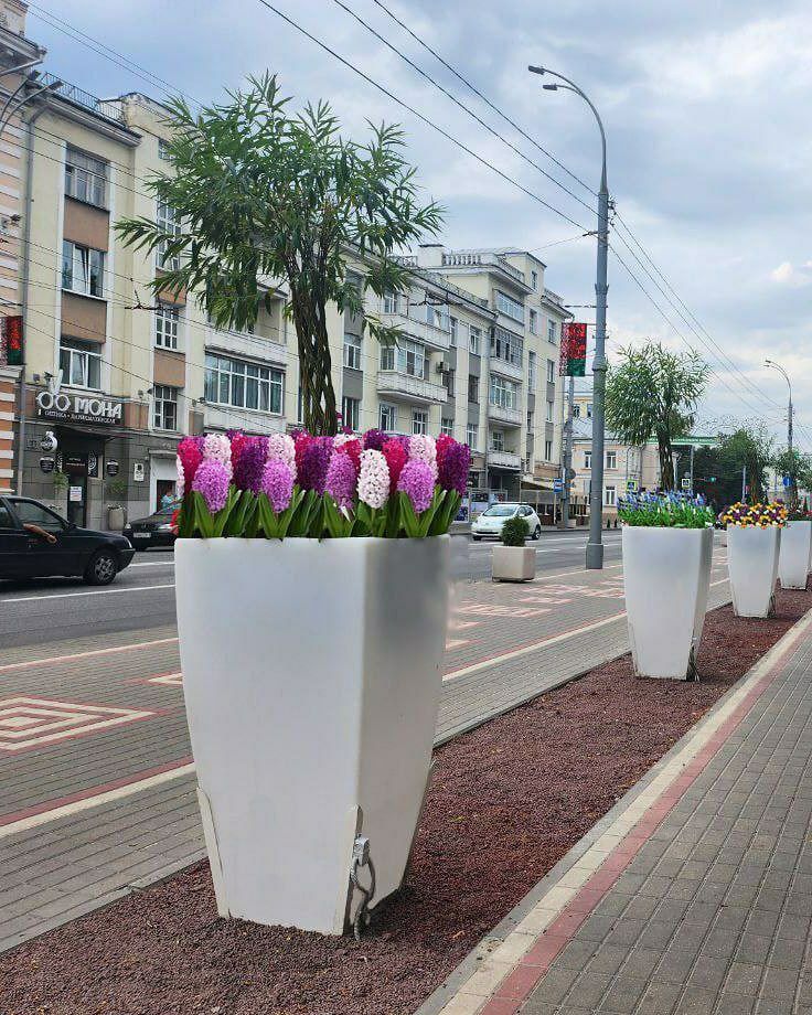 украшение улицы Советской