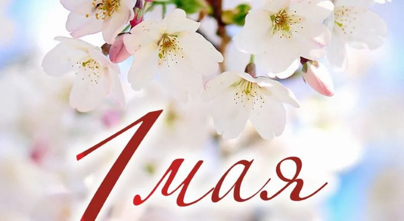 День труда 2025