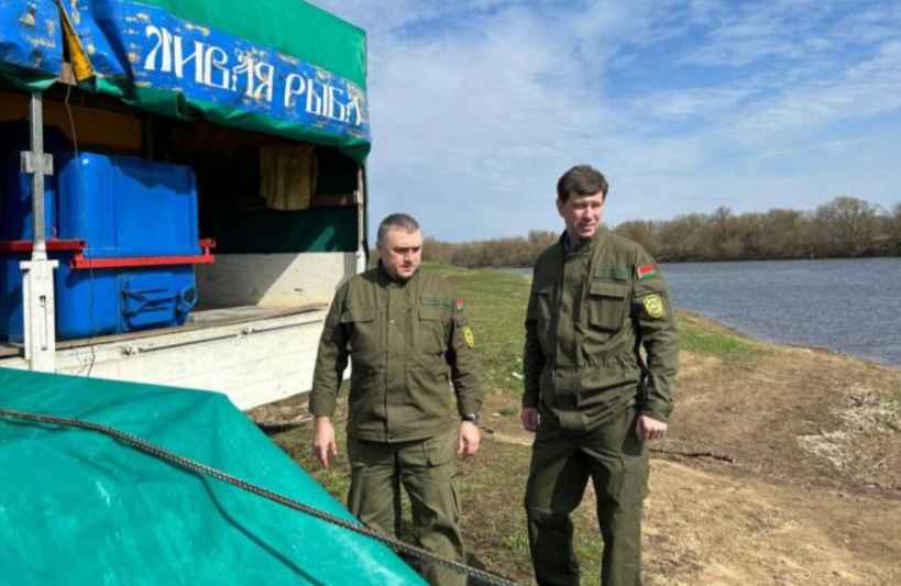 Зарыбление