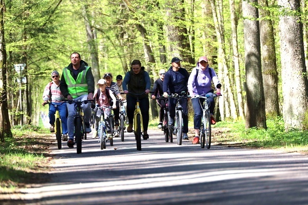 Велопробег «Дорога памяти» пройдёт в Беловежской пуще