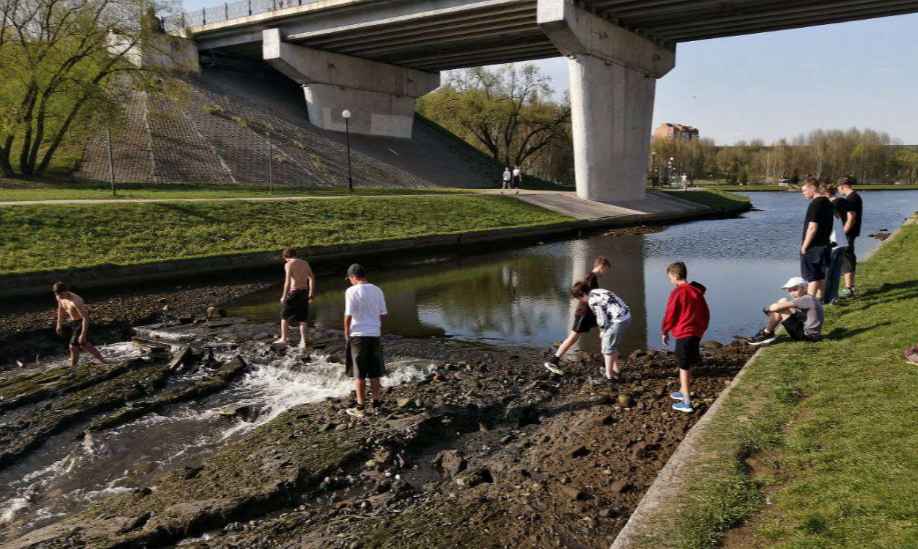 Дубровенка