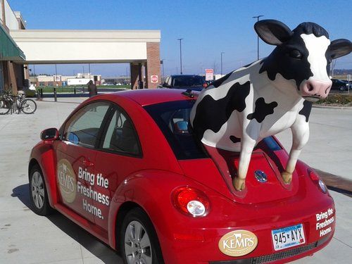 Мясной десант