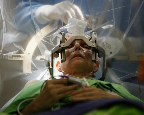 Бессмертие мозг