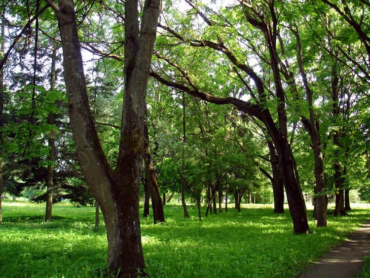 топ-7 мест Витебска