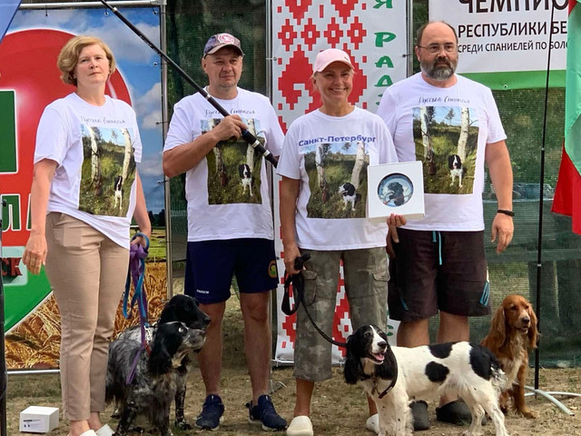 чемпионат спаниелей