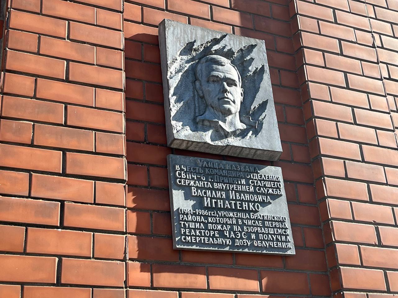 Чернобыльская катастрофа жизнь после апокалипсиса (10)