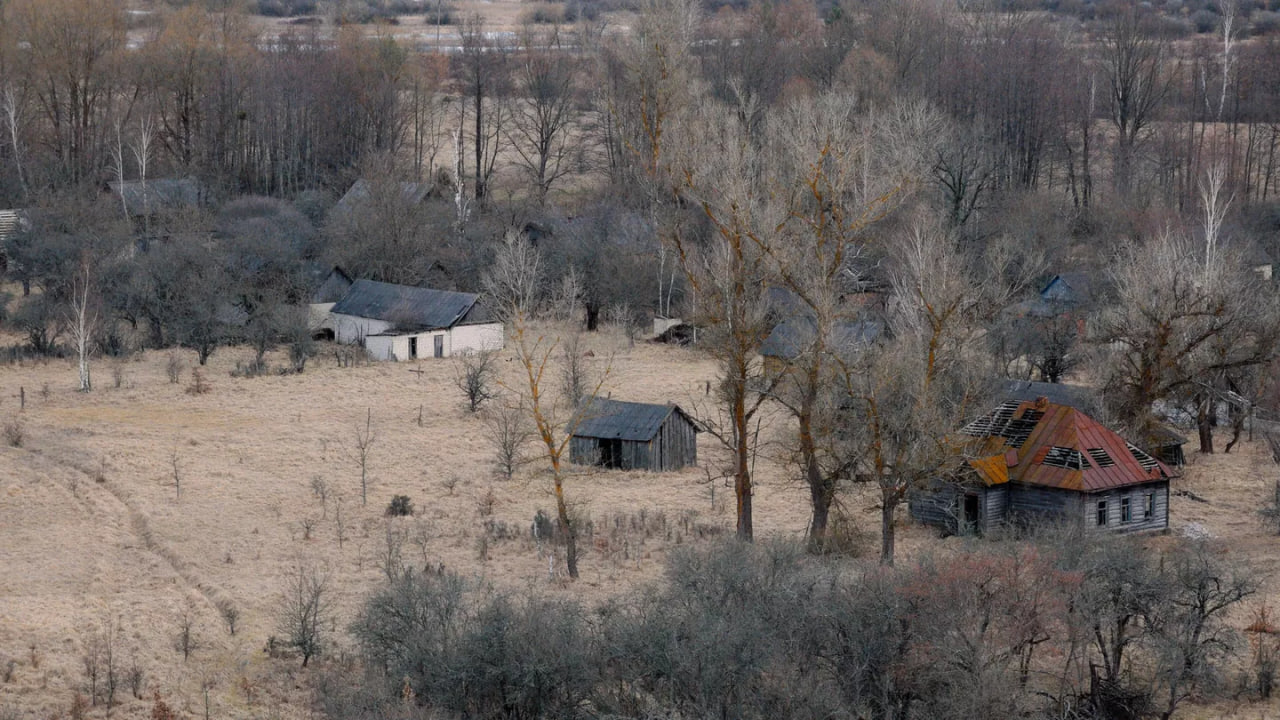 Чернобыльская катастрофа жизнь после апокалипсиса (3)