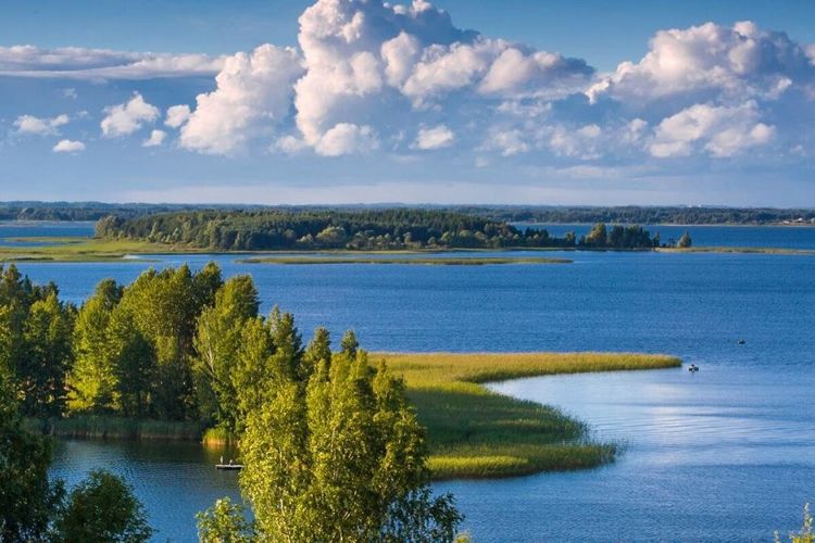 фестиваль клевый Браслав