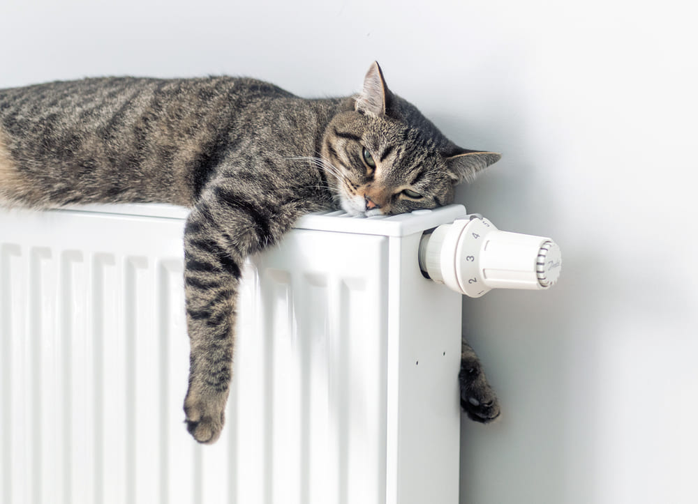 Отключение отопления Минск