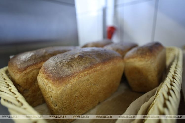 Александр Лукашенко посетил Витебскую область