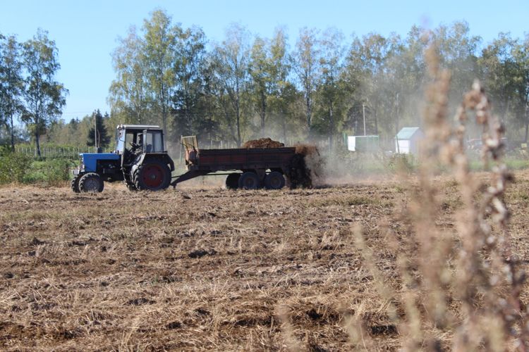 Лужеснянская сортоиспытательная станция