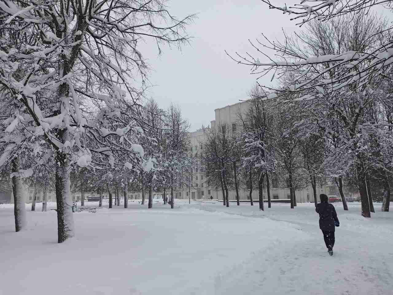 Могилев, снегопад