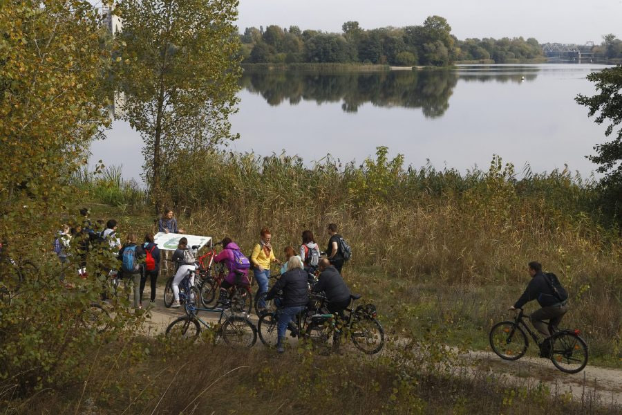 экотропа Дорога жизни Брест