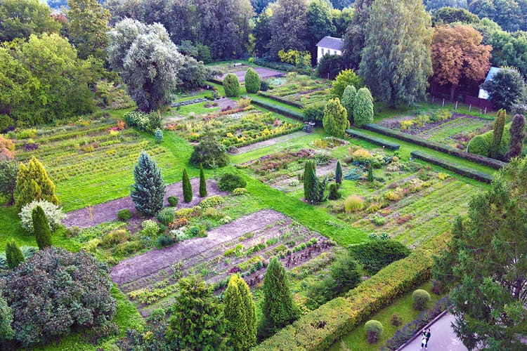 ботанический сад витебск