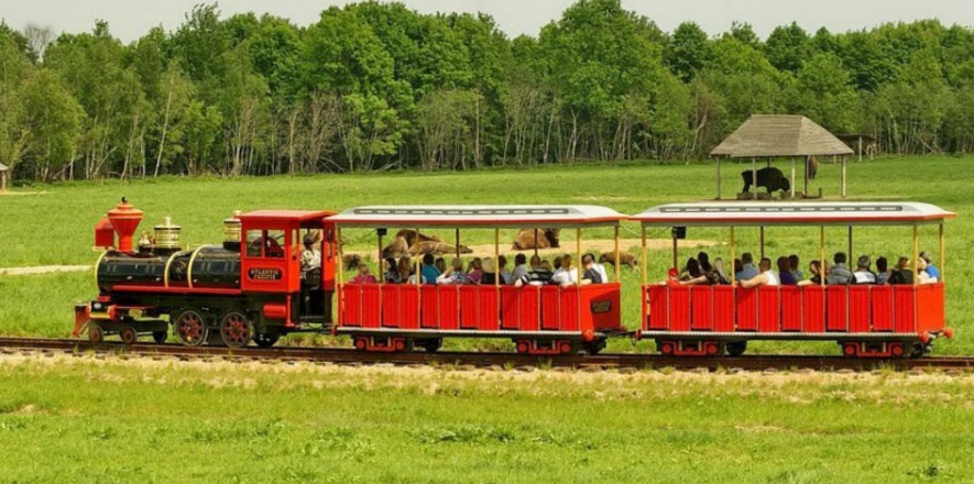Буйничи, зоосад