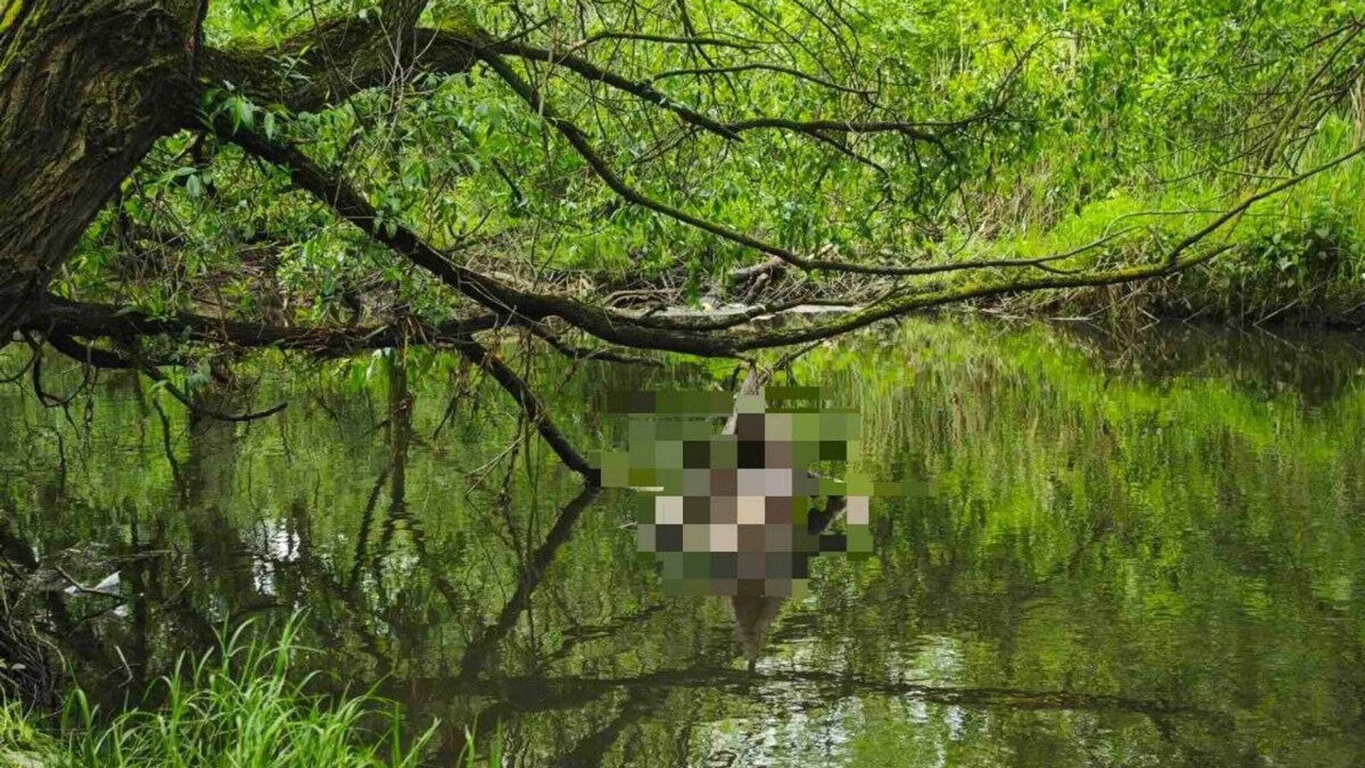 тело утонувшей девушки в реке лошица