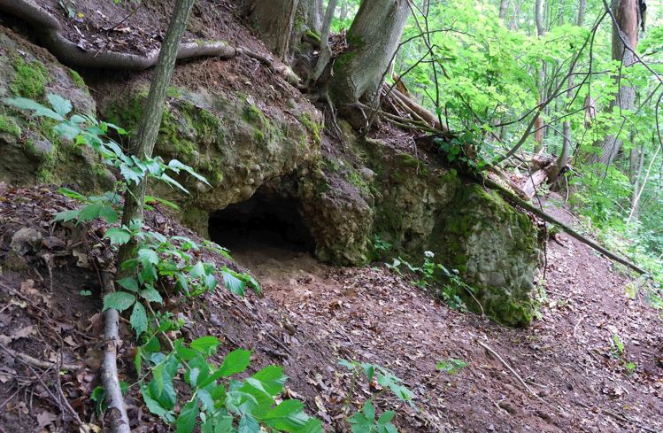 Топ-7 мест в Витебской области для туристов