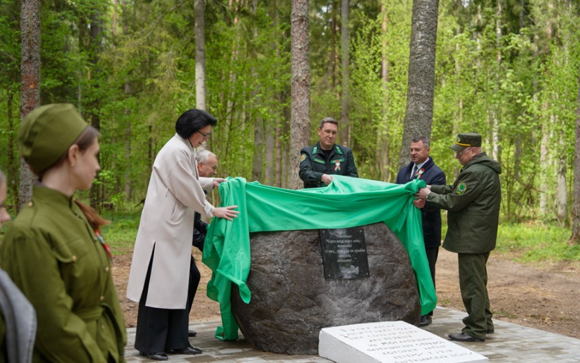 Партизаны, Белыничи