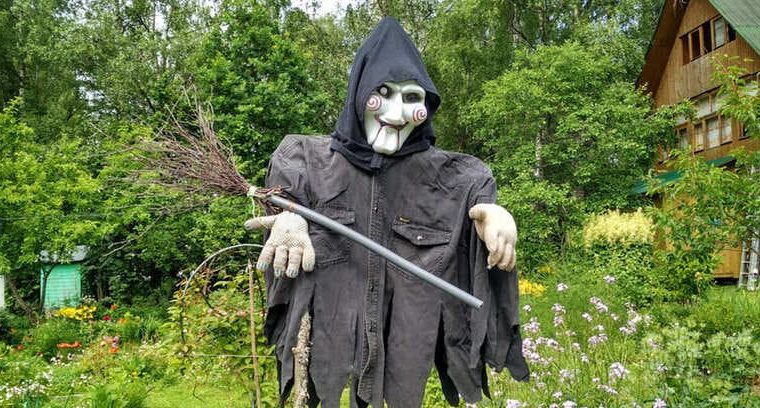 Страшно пугало на огороде