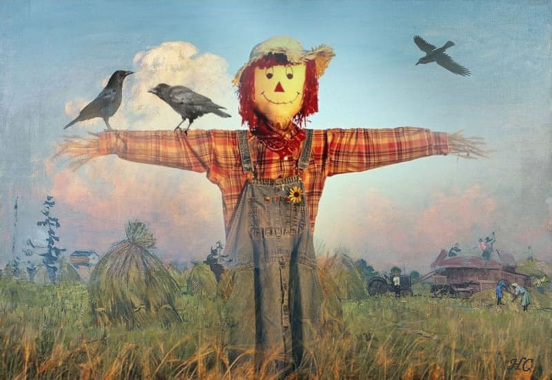 пугало с птицами