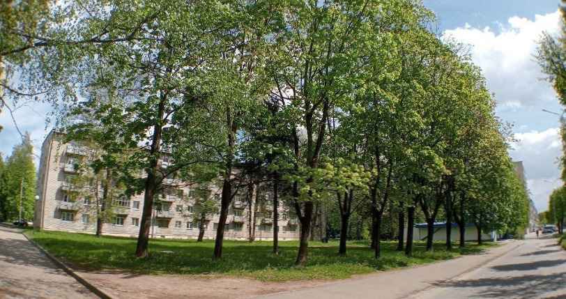 Могилев, Орловского