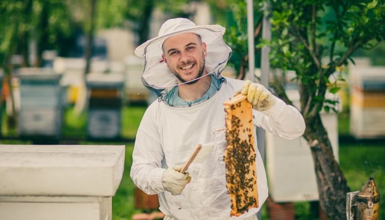 Пчеловодов, Беларусь, вуз, студент, поступление