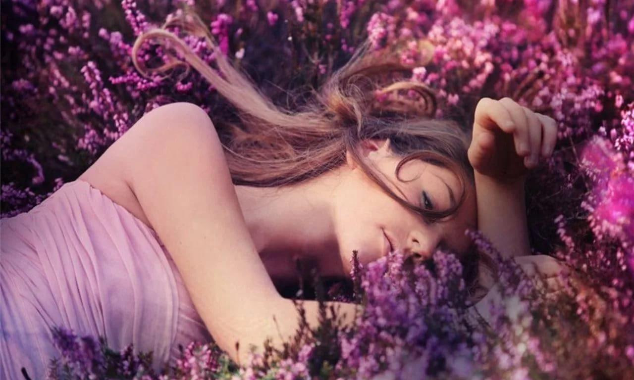 вереск поле