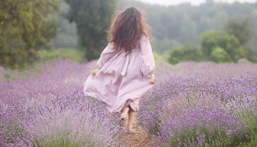 лаванда поле