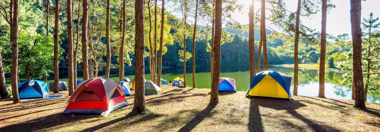 палатки поход