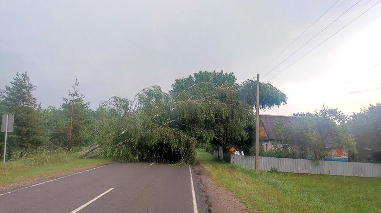 ураган под Гомелем 2025