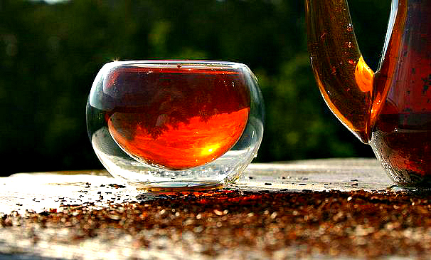 Южноафриканский ройбуш - красное золото пустыни