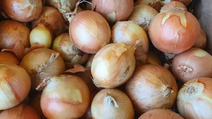 Лук репчатый
