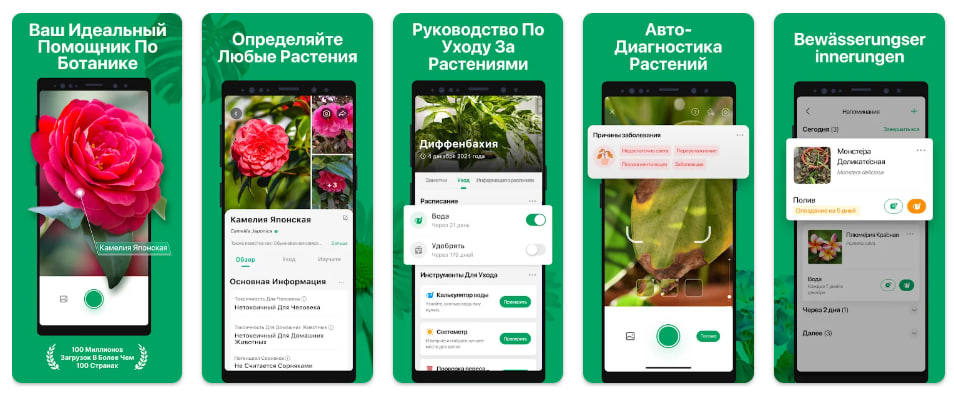 приложение PictureThis 