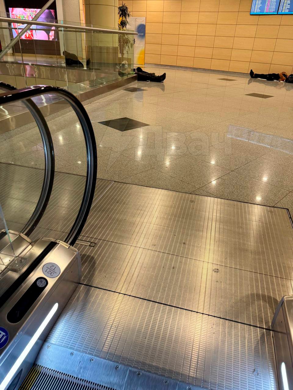 Во Внуково и Домодедово люди спят на полу