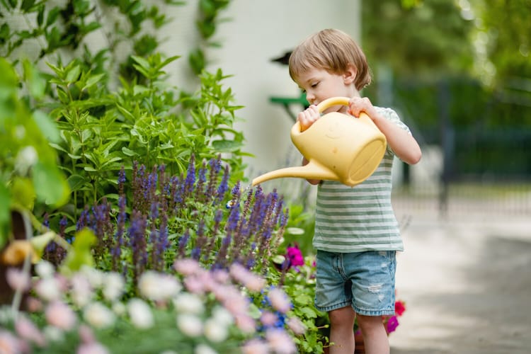 ребенок на даче