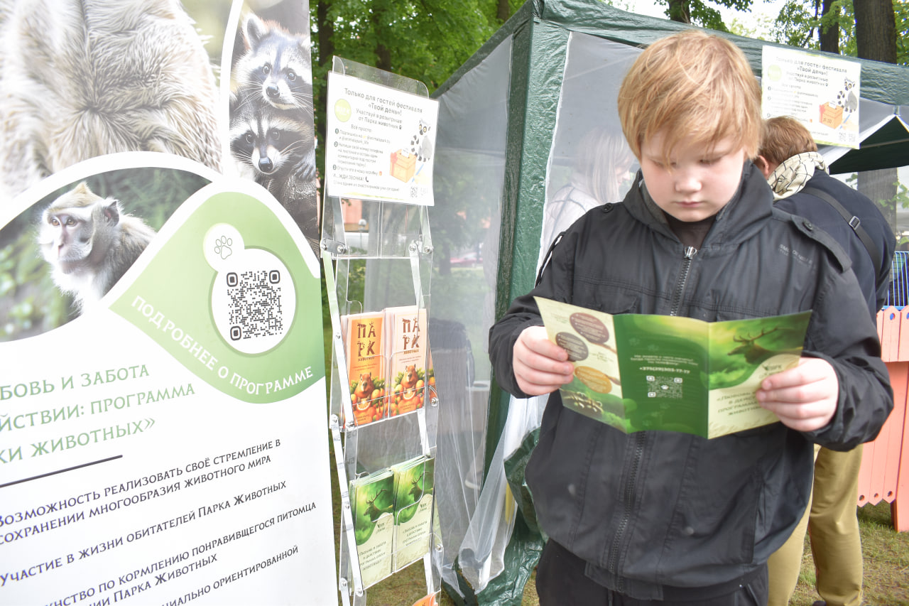 фестиваль Твой день