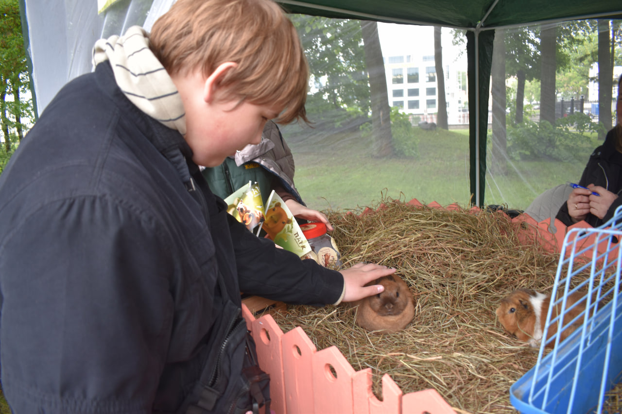 фестиваль Твой день