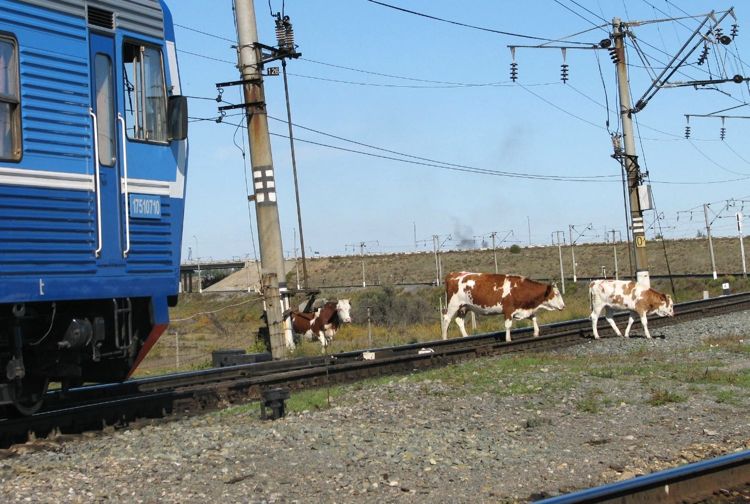 поезд Витебск-Минск