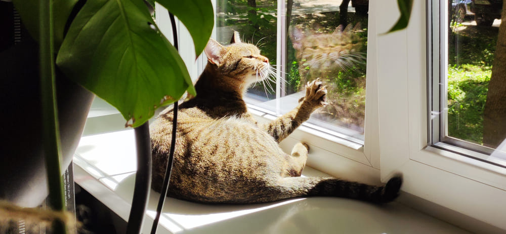 Тепло возвращается