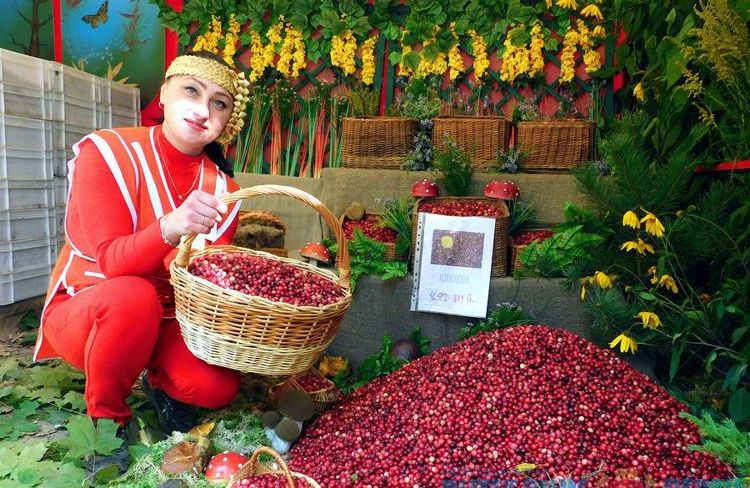 Жураўлі і журавіны Міерскага краю