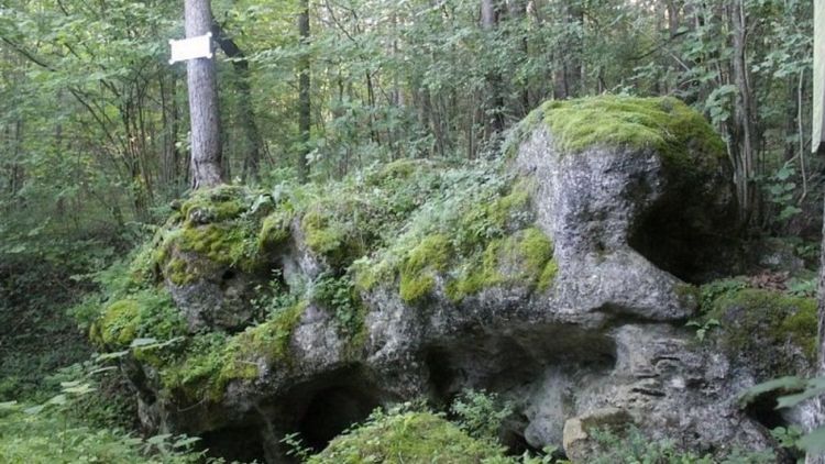 Топ-7 мест в Витебской области для туристов