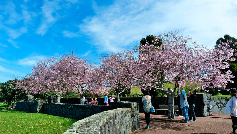 Парк Дружбы народов: современный подход