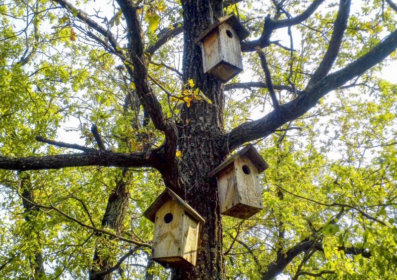 Скворечники