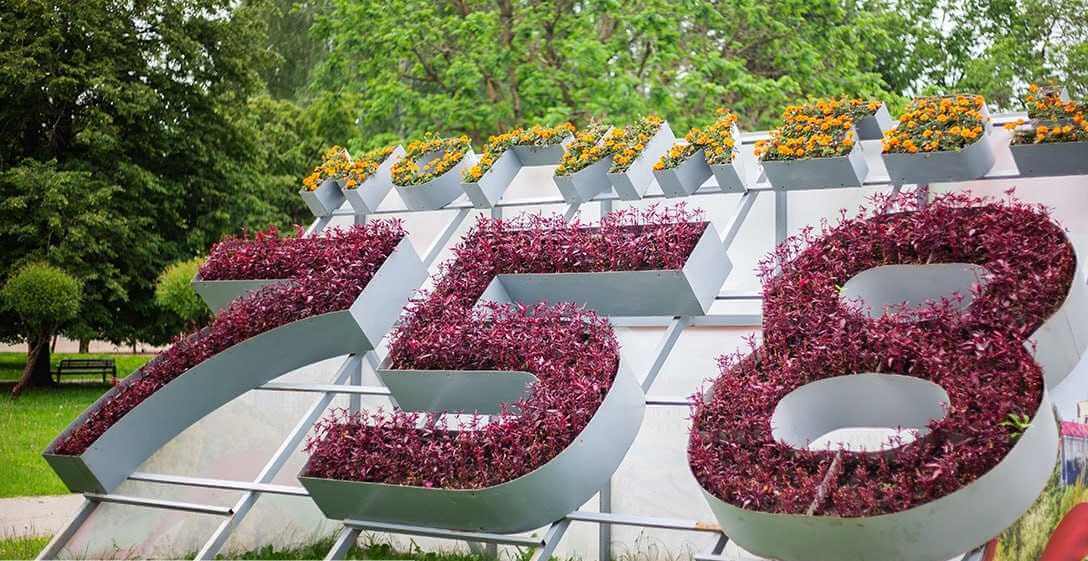 Могилев, цветы