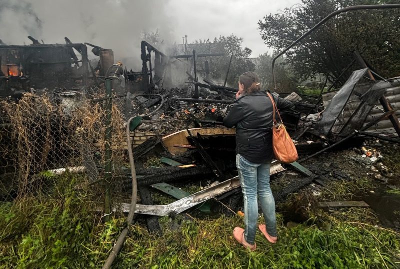 Сгорел приют для животных Кошкин дом